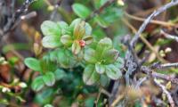DSC_0126_resize.jpg